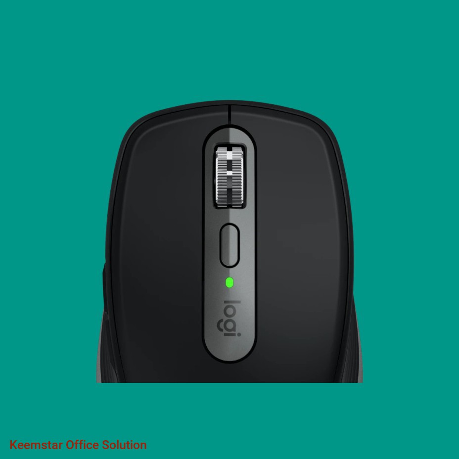 Mouse